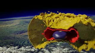 Neutron star merger visualized