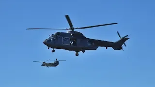 Demonstratie van het Defensie Helikopter Commando op de Ginkelse Heide - 75 jaar Market Garden