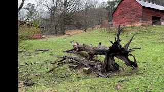 Wood turning bowls From an old Black Walnut tree for the Shook Homestead