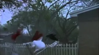 Tornado! Trailer 1996