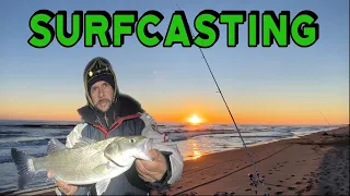 Pêche du Bar en SURFCASTING