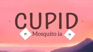 CUPID mosquito ia 🦟