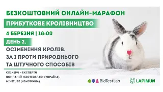 Осеменение кроликов. За и против естественного и искусственного способов