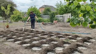 ПіДГОТОВКА ГОРОДУ ДО ВИСАДКИ РОЗСАДИ ПОМіДОР