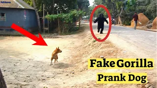 Fake Gorilla vs Dog PRANK | Dangerous Dog Reaction Prank | Can Not Stop Laugh New Funny Prank 2021