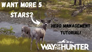 Tutorial On Everything Heard Management! | Way of the Hunter