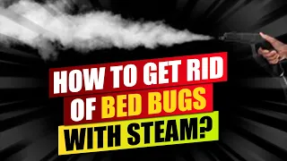 The Best Ways to Get Rid of Bed Bugs with Steam || Tulsa Bed Bug Specialist