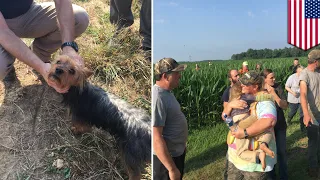3-year-old girl and dog saved by dog's 'weak bark' - TomoNews
