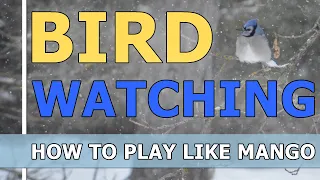 How to play like Mango - Bird Watching (ft. Squid)