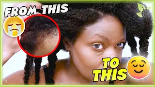 Grow your Edges Back! - 3 Simple Steps