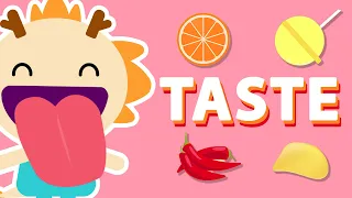 TASTE ♫ | Five Senses Song | Wormhole Learning - Songs For Kids