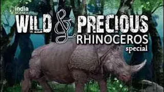 Wild & Precious: Rhinoceros Special (E)