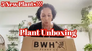 Plant Unboxing || BWH Plant Co. || What All Did I Get? || Plantmas Day 1
