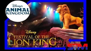 [4K] Festival of the Lion King - Animal Kingdom