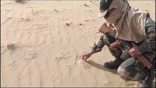 Viral video of  BSF Jawan roasting a papad in bikaner's Desert sand.