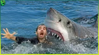 13 Scariest Shark Attacks Ever Caught on Camera