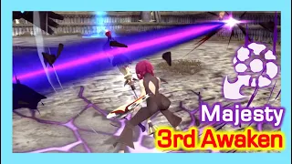 Majesty 3rd Awaken Skill / Dragon Nest Korea (2022 July)