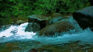 Insomnia, Stress, Depression and Anxiety Will Disappear With This Sound of Water and Piano.