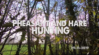 Pheasant and hare Hunting | B&JHuntingTeam