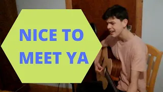 Niall Horan - Nice To Meet Ya (Cover by Andrew Harten)