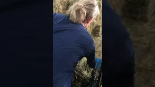 How to tie a haynet
