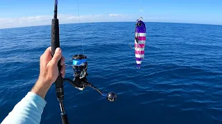 Drag Screaming Day Offshore Jigging and Trolling - Smoked Fish Catch and Cook