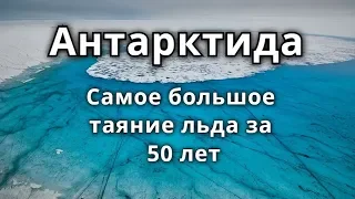 В Антарктиде самое большое таяние льда за 50 лет 2020 год