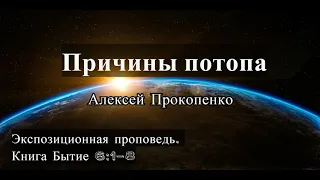 13. Причины потопа. Бытие 6:1-8