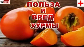 ЛЕЧЕБНЫЕ СВОЙСТВА ХУРМЫ.КОМУ НЕЛЬЗЯ ЕСТЬ ХУРМУ.МОЖНО ЛИ  ЕСТЬ ХУРМУ С КОЖУРОЙ ?