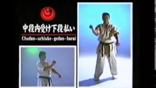 Karate Kihon   Basic Strikes & Blocks
