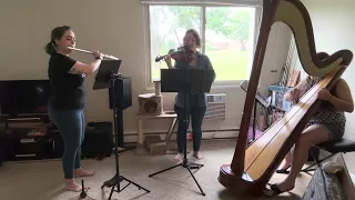 Excerpt from Barbie and the 12 Dancing Princesses- Harp, Flute, and Violin Trio