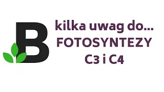 Fotosynteza C3 a C4 - porównanie - różnice - KOREPETYCJE z BIOLOGII - 112