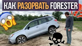 Как разорвать Subaru FORESTER, если вам всё пофиг?