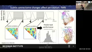 The functional connectome across temporal scales