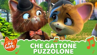 @44GattiIT | Canzone "Che gattone puzzolone" [VIDEOCLIP]