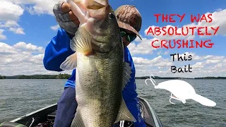 Bass fishing on LAKE GUNTERSVILLE in may!