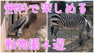 無料で楽しめる動物園４選