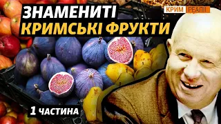Уникальные кадры: как в Крыму выращивали фрукты и овощи без воды из Днепра? | Крым.Реалии