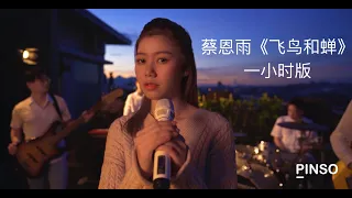 蔡恩雨Priscilla Abby《飞鸟和蝉》一小时循环播放【原唱：任然】