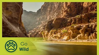 Jordan: Nature's Furnace | Wildest Middle East 3/5 | Go Wild