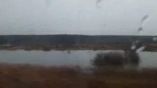 Разлив реки Сура. Пензенская обл.