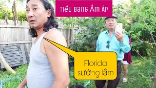 🛑614-tiểu bang Florida Sarasota có đáng sống không