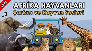 Safari - Afrika Hayvanları Şarkısı ve Hayvan Sesleri