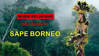 Relaxation Music: Borneo Sape Instrument