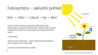 Fotosyntéza I - základní pohled