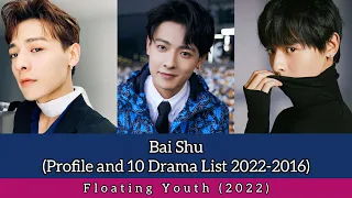 Bai Shu 白澍 (Profile and 10 Drama List 2022-2016) Floating Youth (2022)