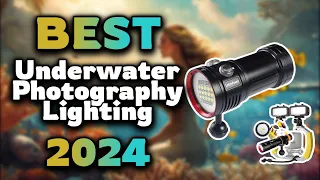 Top Best Underwater Photography Lighting in 2024 & Buying Guide - Must Watch Before Buying!