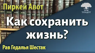 [30 часть] Как сохранить жизнь? Пиркей Авот. Рав Гедалья Шестак