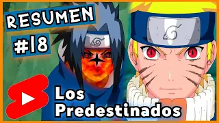 Naruto: RESUMEN Los Predestinados