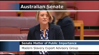 Senate Matters of Public Importance - Modern Slavery Expert Advisory Group